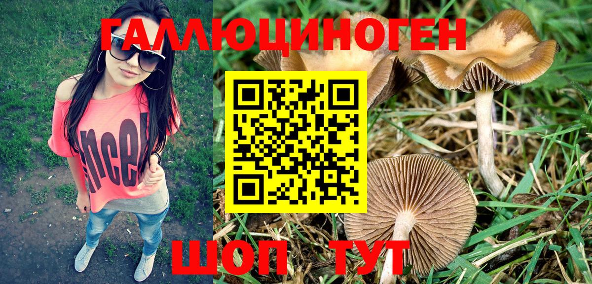 Псилоцибиновые грибы Cubensis  Вход с VPN  Псков  Галлюциногенные грибы Psilocybine cubensis 